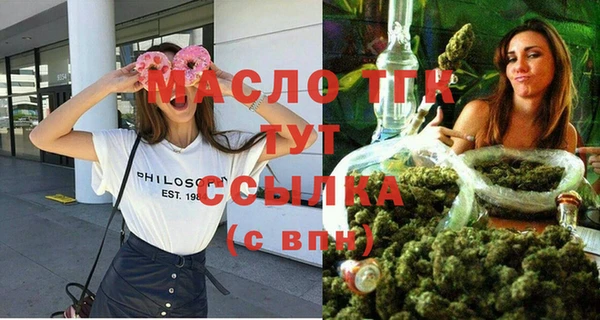 шишки Магас