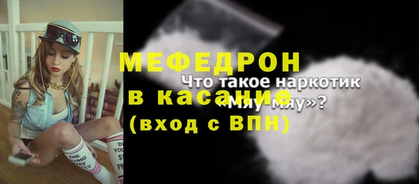 шишки Магас