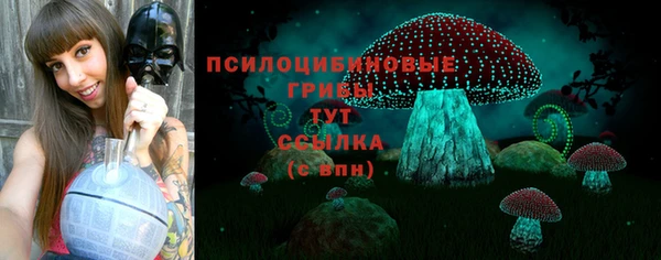 шишки Магас