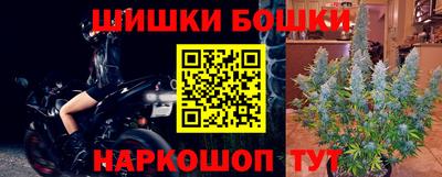 прущие крисы Кингисепп