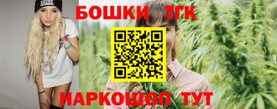 прущие крисы Кингисепп