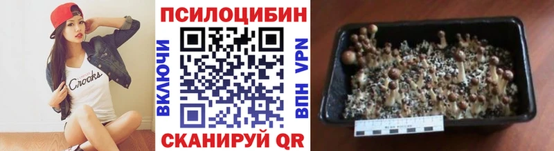 МЕГА ссылка  мориарти какой сайт  Галлюциногенные грибы прущие грибы  Мирный 