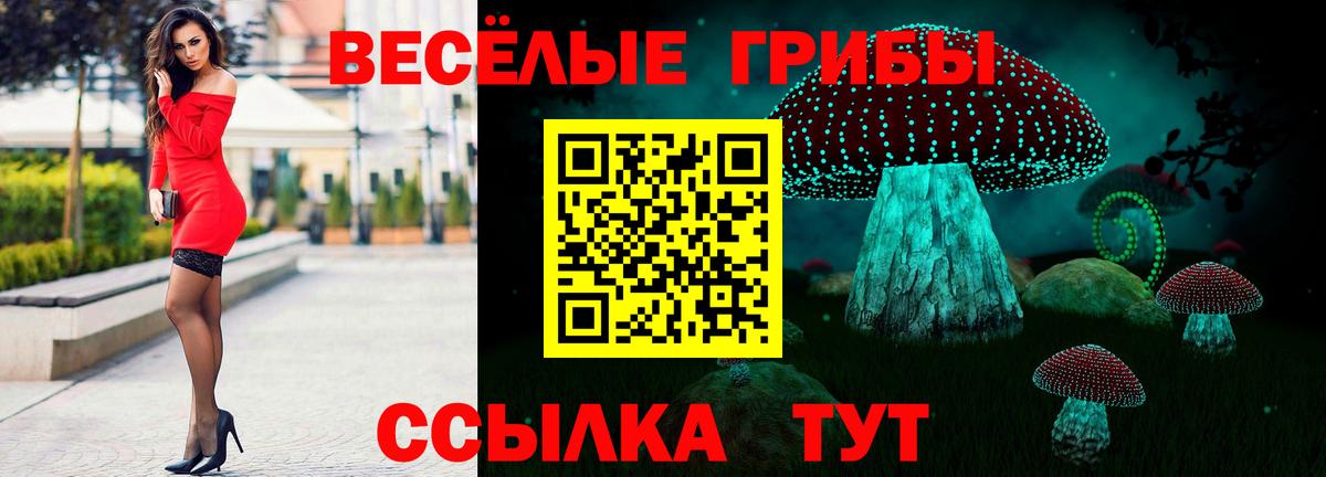 Мирный  Галлюциногенные грибы Psilocybe  Вход с VPN 