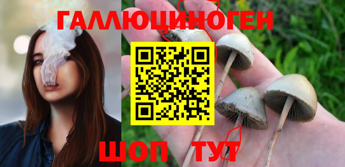 Галлюциногенные грибы Psilocybine cubensis  Мирный  Псилоцибиновые грибы Magic Shrooms 